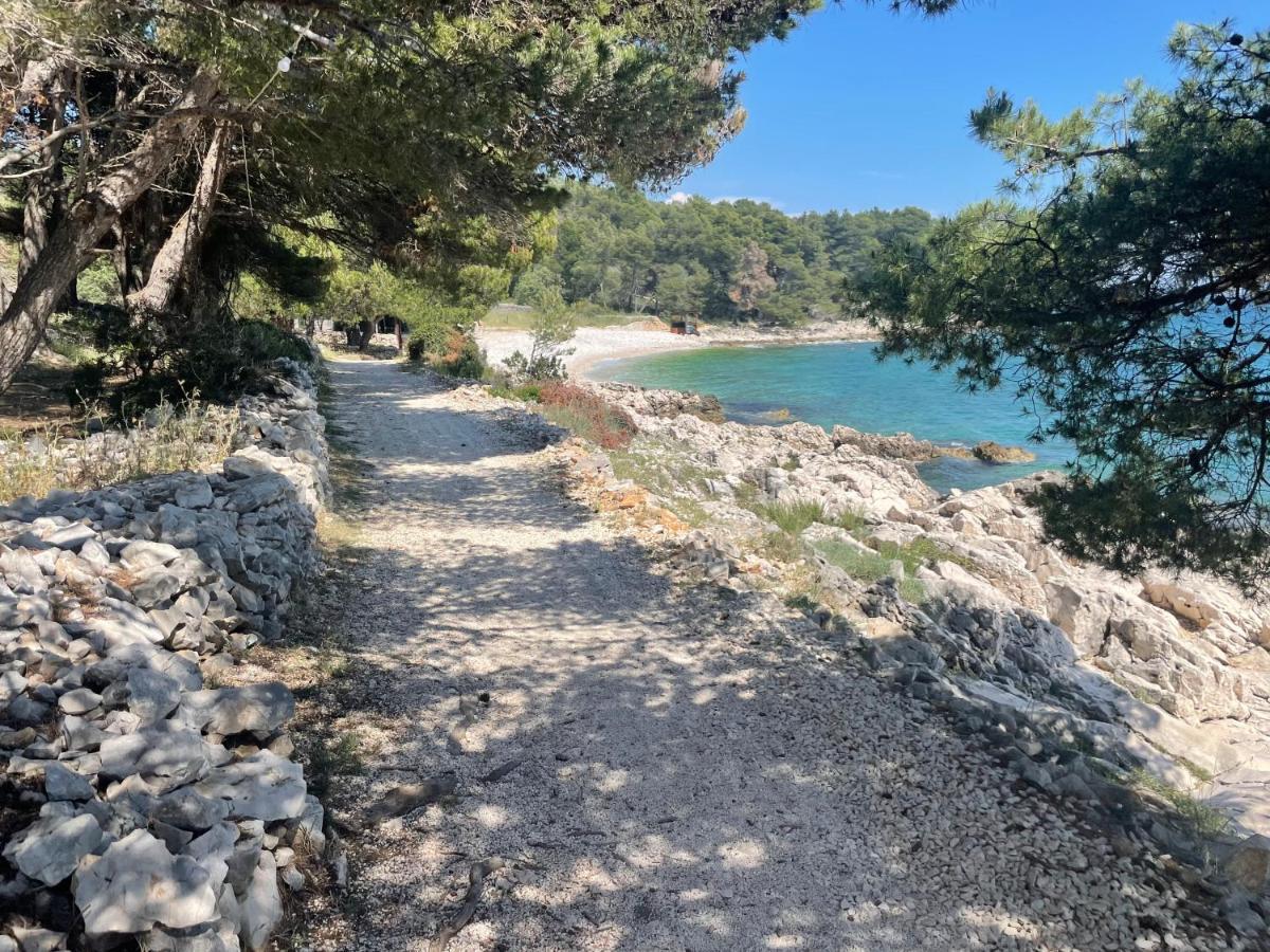 Luxury Seaside Villa With A Classic Mediterranean Olive Garden, A Fully Equipped Professional Kitchen, Pool, Sauna, Padle Boards And Canoe - Miolin Beach House Trogir Luaran gambar